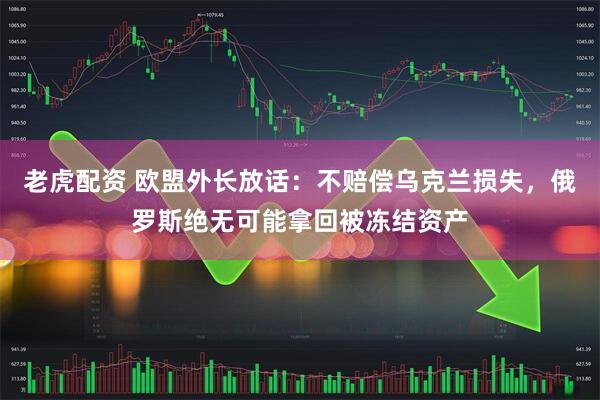 老虎配资 欧盟外长放话：不赔偿乌克兰损失，俄罗斯绝无可能拿回被冻结资产