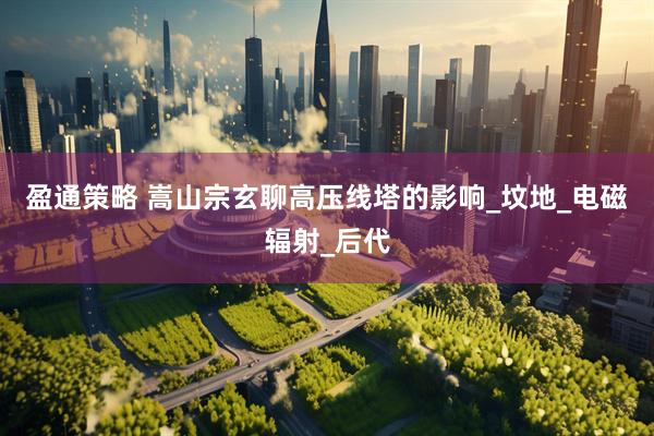 盈通策略 嵩山宗玄聊高压线塔的影响_坟地_电磁辐射_后代